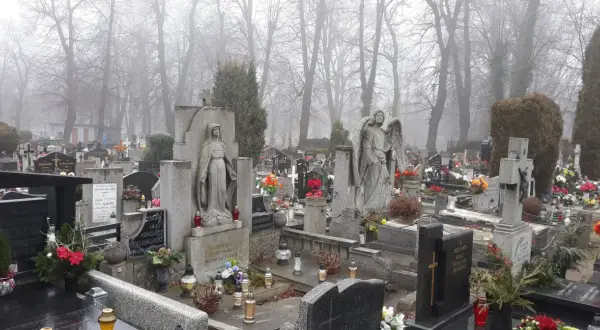 Kamienne nagrobki i rzeźby aniołów na mglistym cmentarzu.