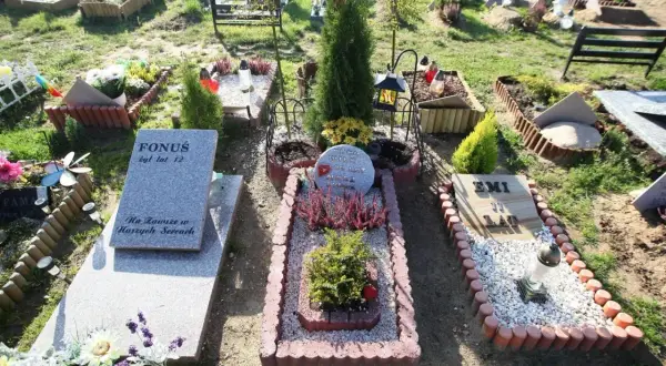 Gdzie jest cmentarz dla zwierząt? Znajdź godne miejsce pochówku