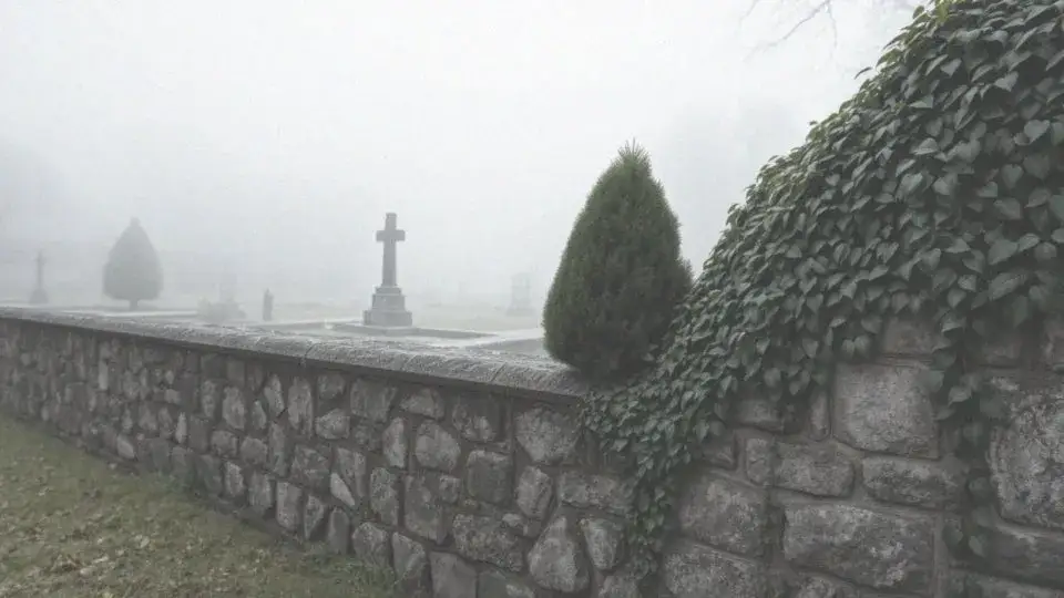 Zdjęcie Jak sprawdzić datę pogrzebu w Lublinie i uniknąć zbędnych trudności